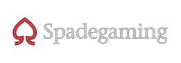 SG Providers partner logo